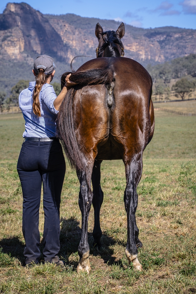 More Than a Legend (USA) - Image 4