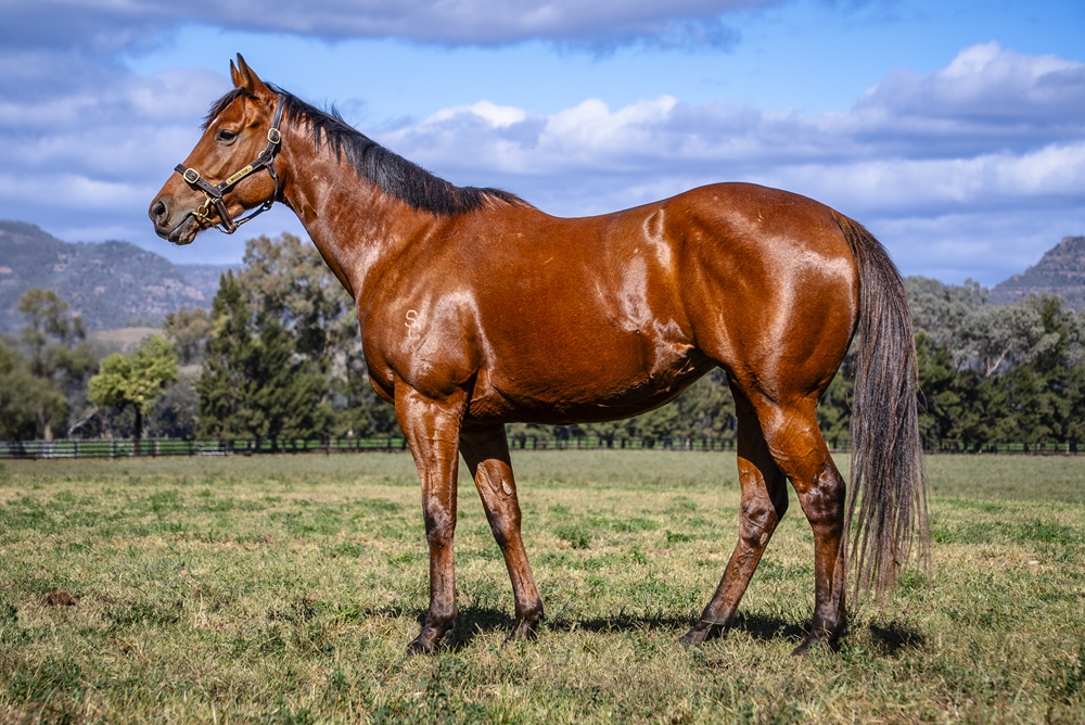 Naughty Nitemare (AUS) - Image 1