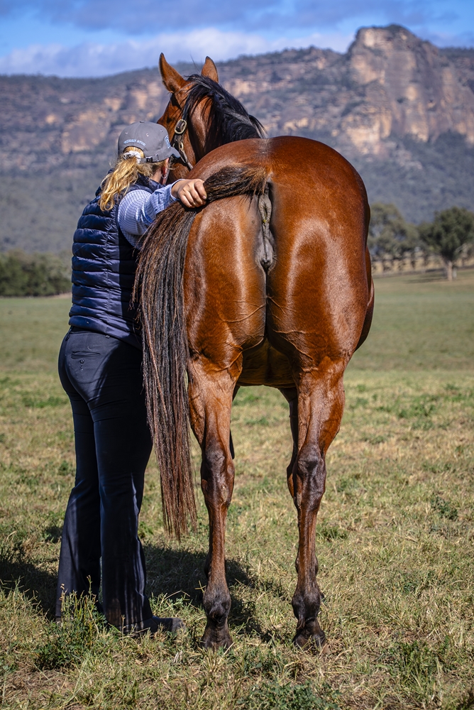 Naughty Nitemare (AUS) - Image 4