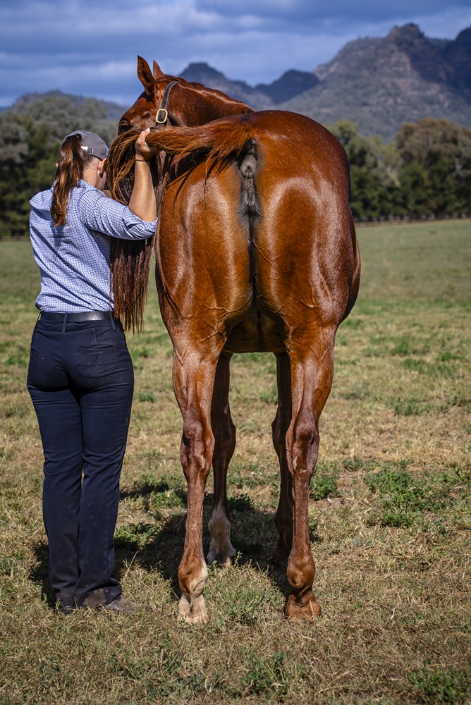 Shorthand (AUS) - Image 4