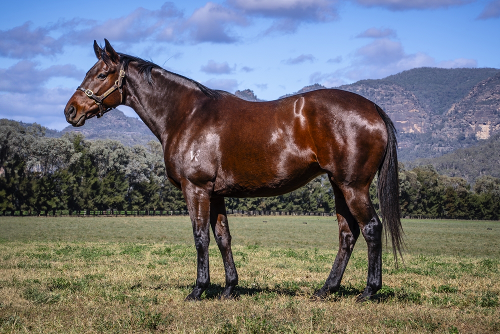 Easy for Me (AUS) - Image 1