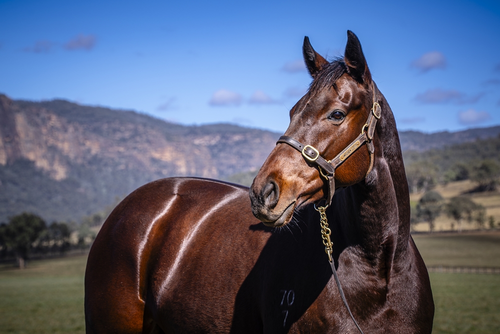 Easy for Me (AUS) - Image 2