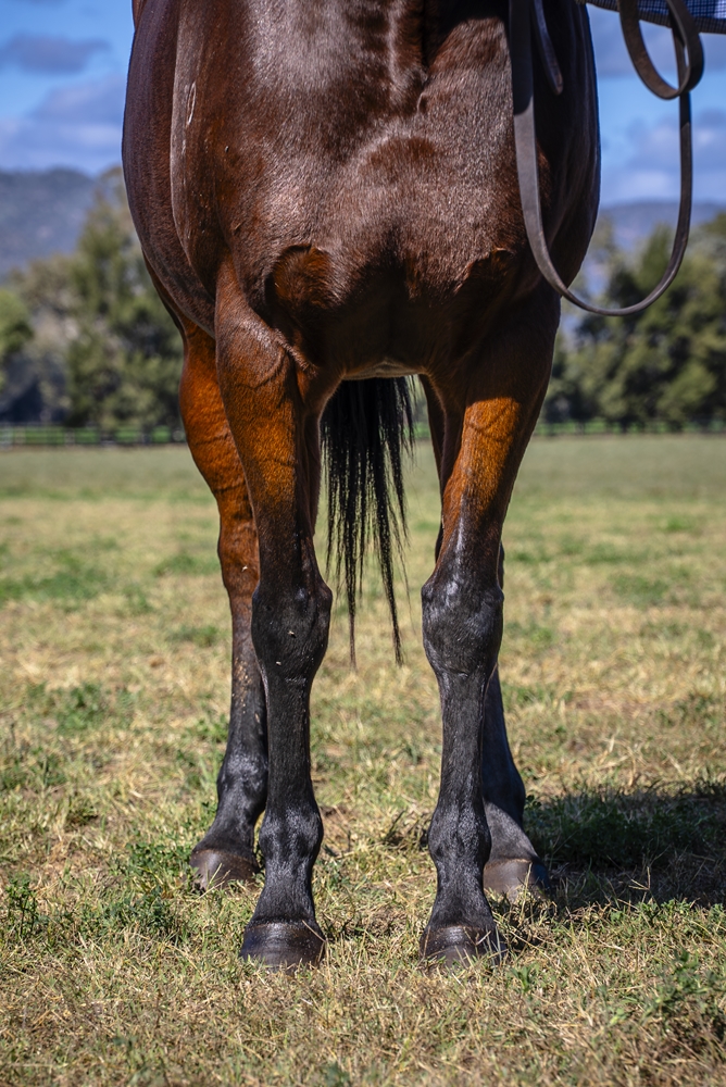 Easy for Me (AUS) - Image 3