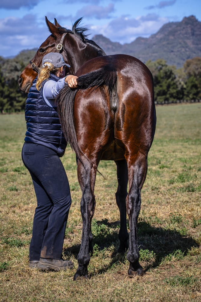 Easy for Me (AUS) - Image 4