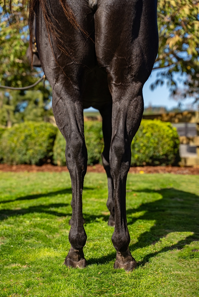 Hayley (AUS) - Image 3