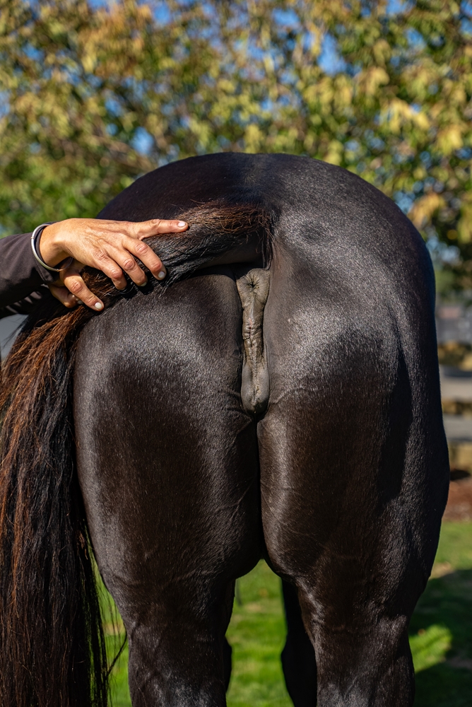 Hayley (AUS) - Image 5