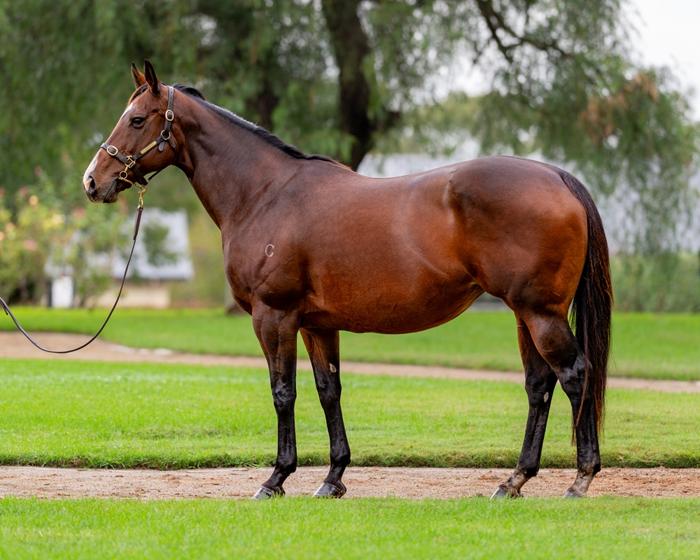 Femme Fireball (AUS) - Image 1