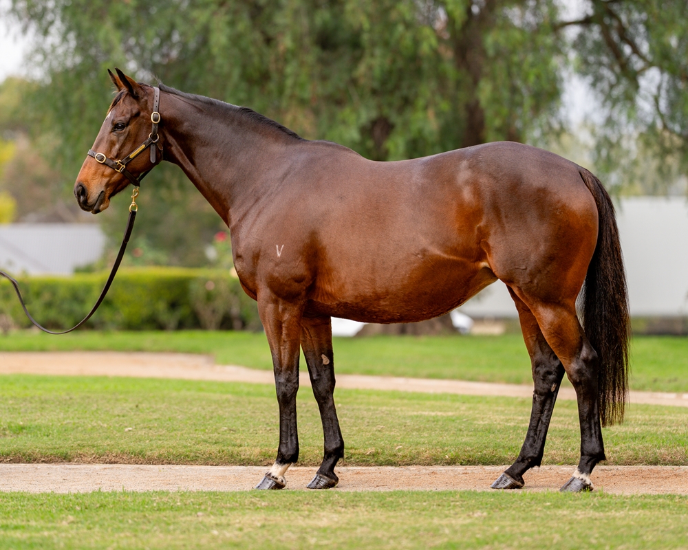 Mhaille (AUS) - Image 1