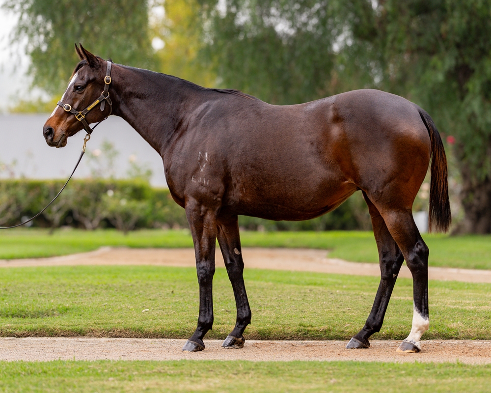 What's New (NZ) - Image 1