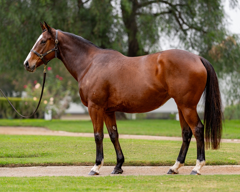 Aurinko (AUS) - Image 1