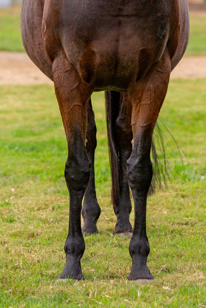 Extreme Bliss (AUS) - Image 2