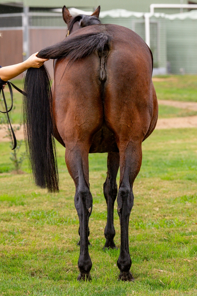 Extreme Bliss (AUS) - Image 3