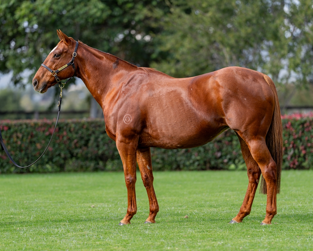 Inca Lagoon (AUS) - Image 1