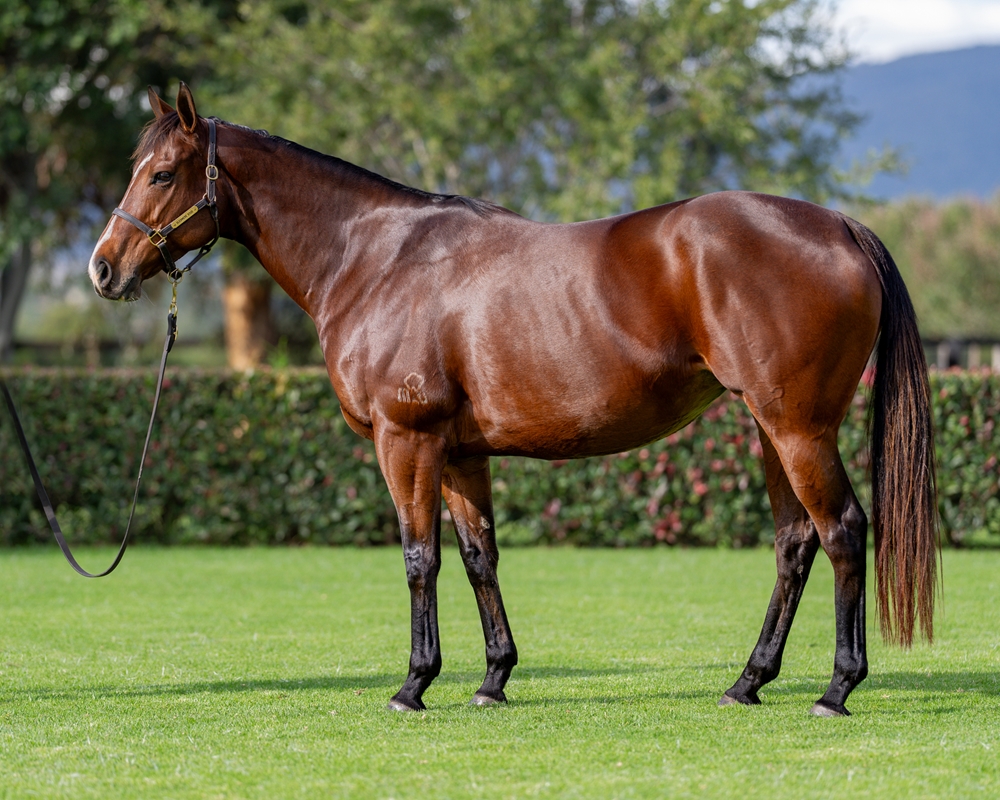 Our Heidi (AUS) - Image 1