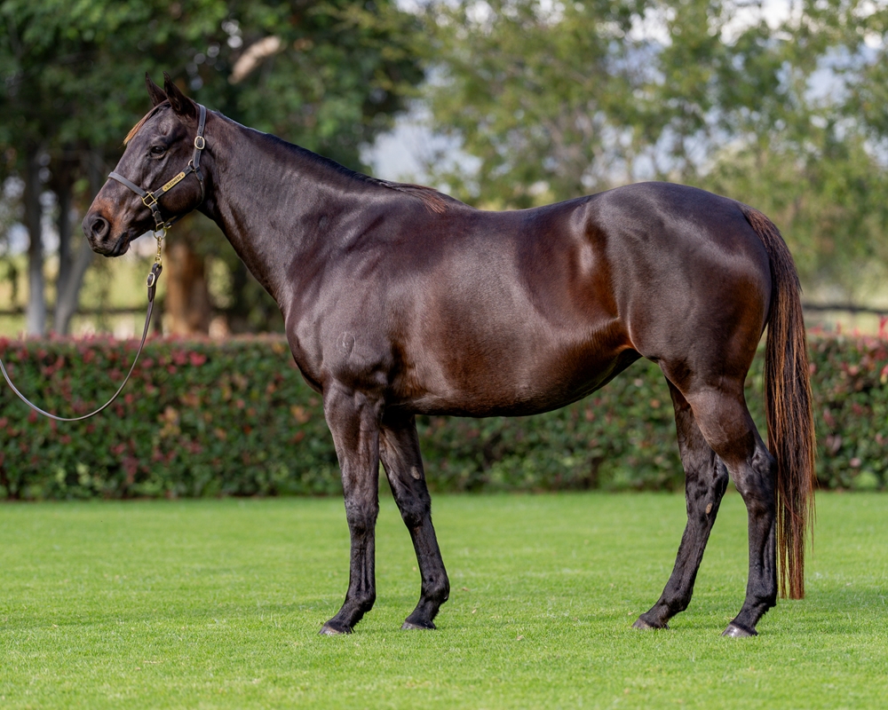 Comarco (AUS) - Image 1