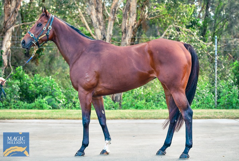 bochkareva mm 1.jpg - Image 1