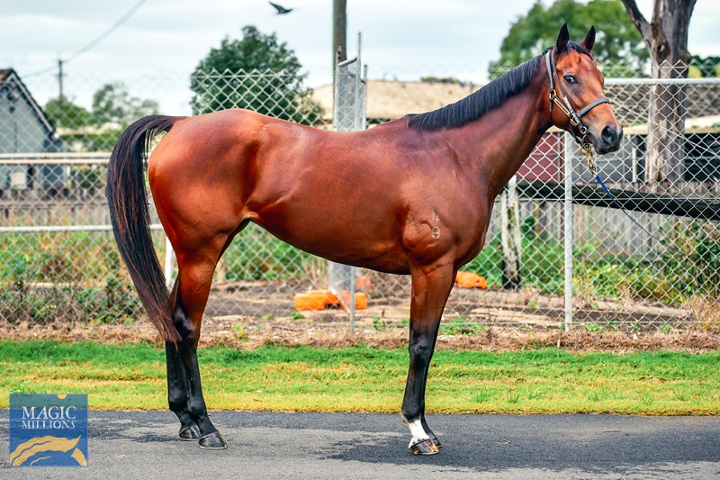 bochkareva mm 2.jpg - Image 2