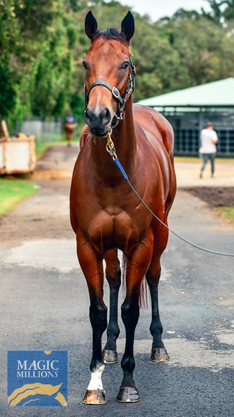 bochkareva mm front 2.jpg - Image 3