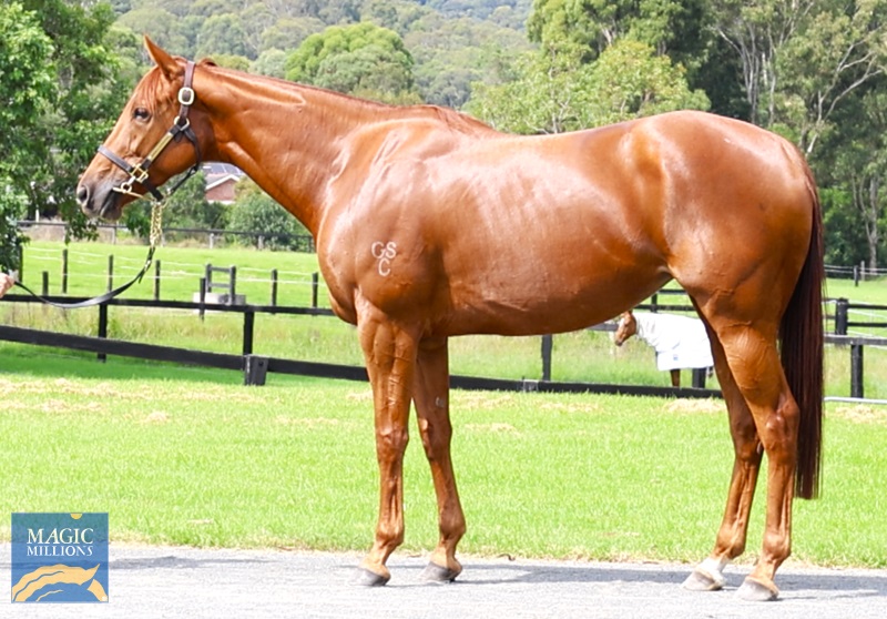 AUTORA Side.jpg - Image 1