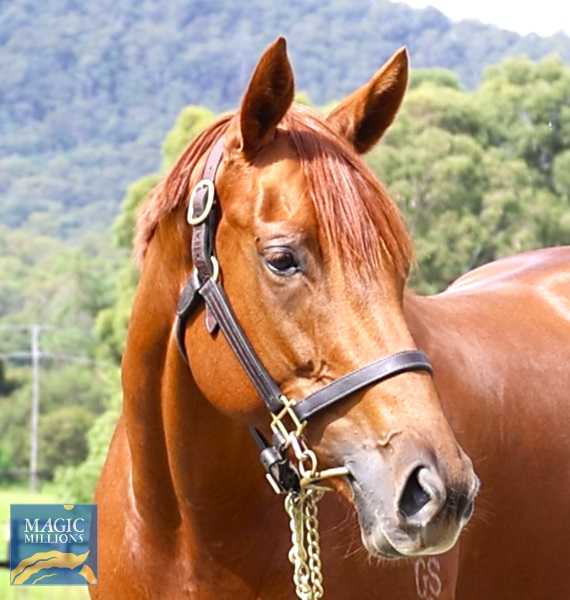 AUTORA Head.jpg - Image 2