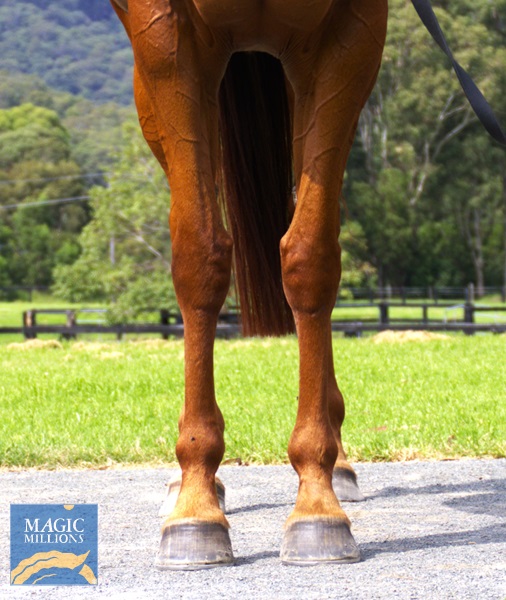 AUTORA Front.jpg - Image 3