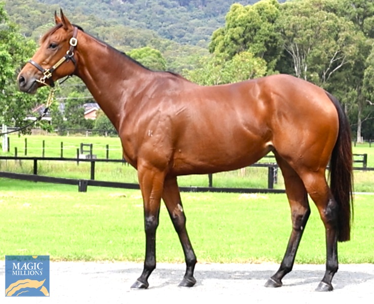 DEMIANA Side.jpg - Image 1