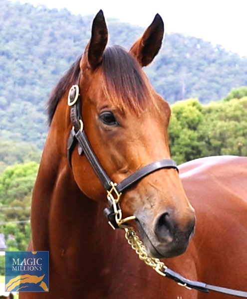 DEMIANA Head.jpg - Image 2