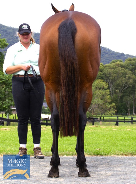 DEMIANA Rear.jpg - Image 4