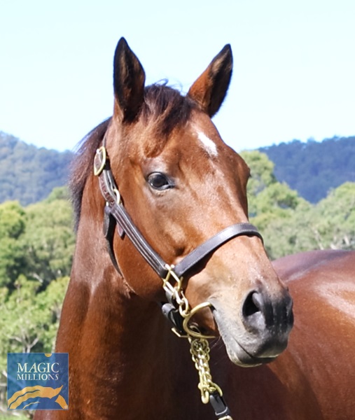 CAPRI OF TUFFY Head.jpg - Image 2