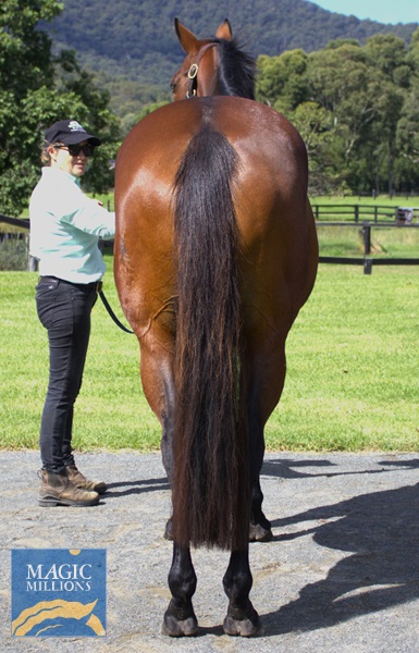 CAPRI OF TUFFY Rear.jpg - Image 4