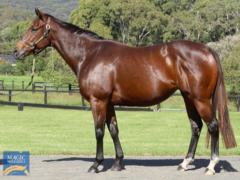 POLINA Side.jpg - Image 1