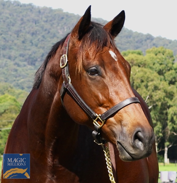 POLINA Head.jpg - Image 2