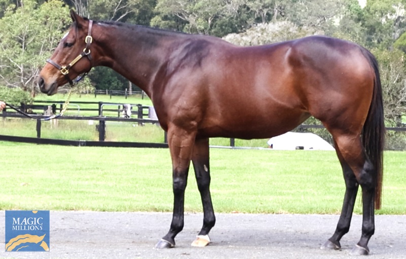 YASMEEN Side.jpg - Image 1