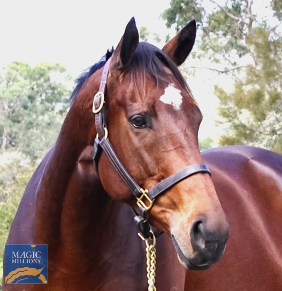 YASMEEN Head.jpg - Image 2