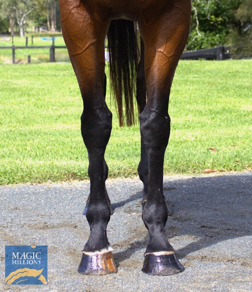 YASMEEN Front.jpg - Image 3