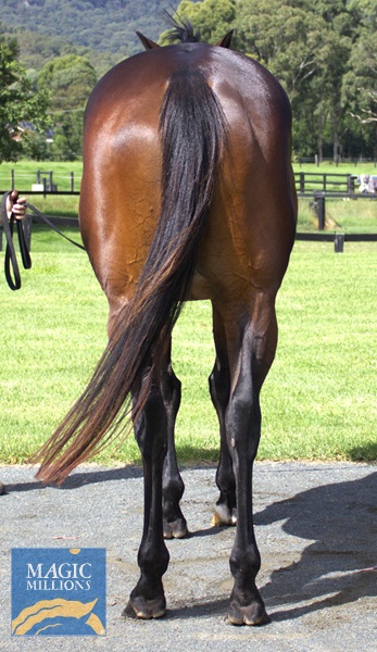 YASMEEN Rear.jpg - Image 4