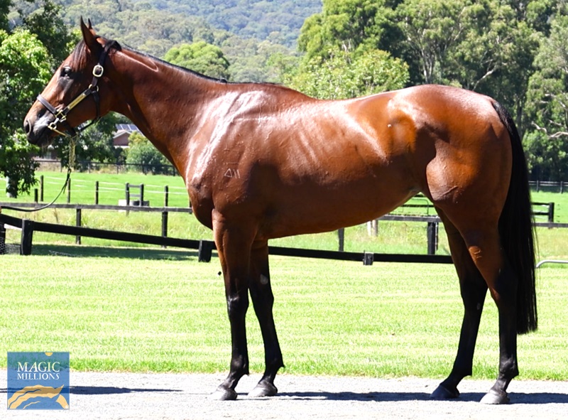 MADAME ODETTE Left.jpg - Image 1