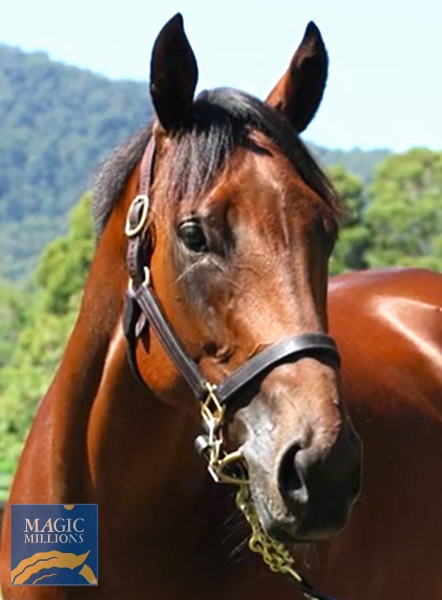 MADAME ODETTE Head.jpg - Image 2