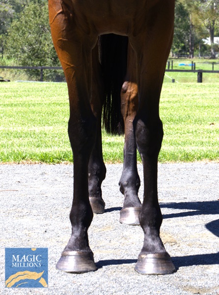 MADAME ODETTE Front.jpg - Image 3