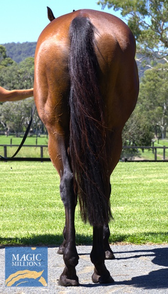 MADAME ODETTE Rear.jpg - Image 4