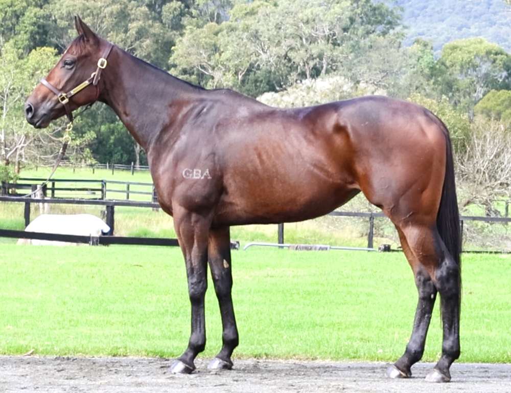 Ti Amo Tanto (AUS) - Image 1