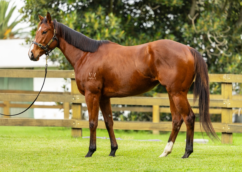 Spliced (AUS) - Image 1