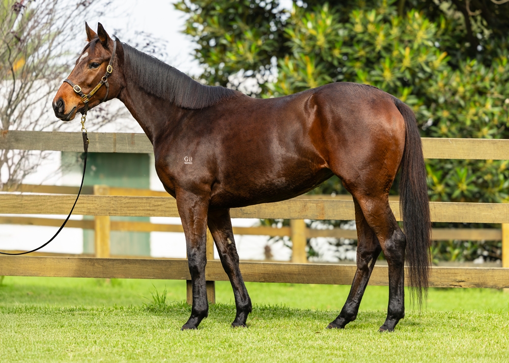 Desert Bloom (AUS) - Image 1