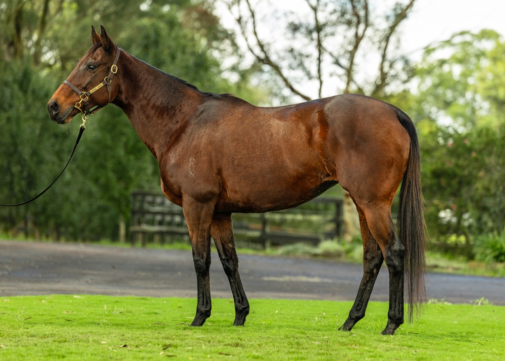 Fast Gal (AUS) - Image 1