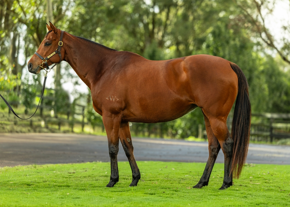 Atomic Pulse (AUS) - Image 1