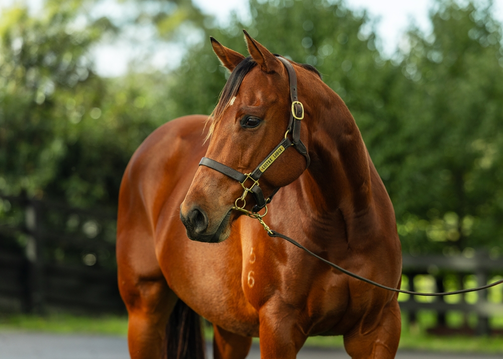 Atomic Pulse (AUS) - Image 2