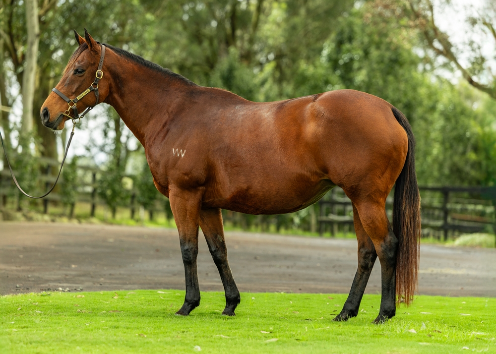 My True Love (AUS) - Image 1