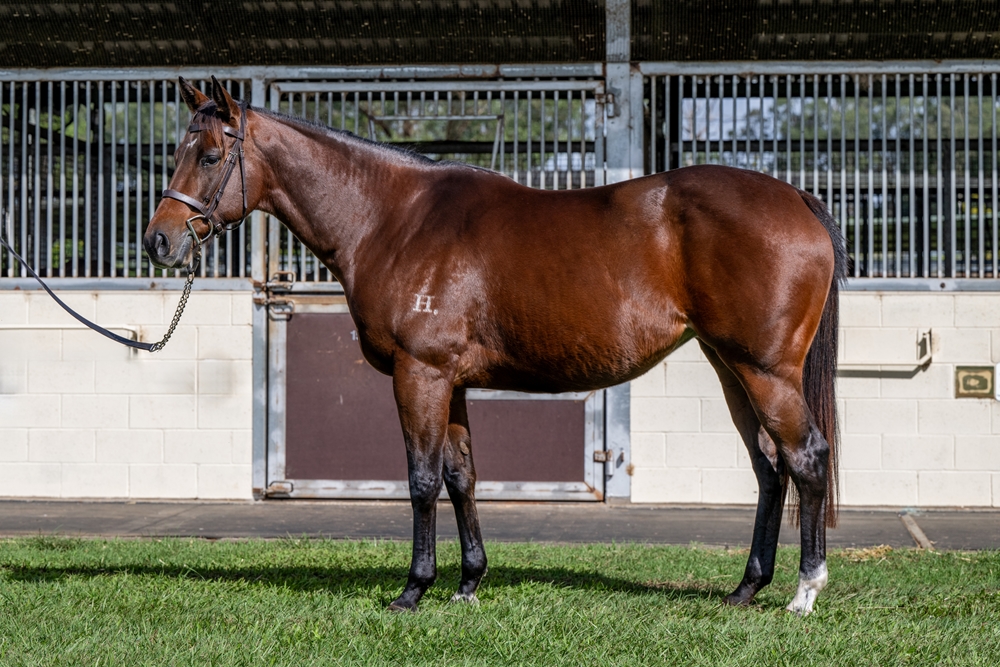 Tracy May (AUS) - Image 1