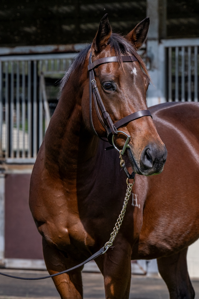 Tracy May (AUS) - Image 2