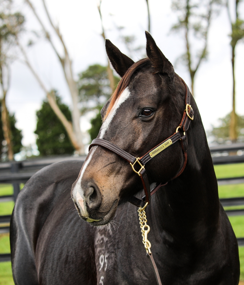 Power of Wexford (AUS) - Image 2